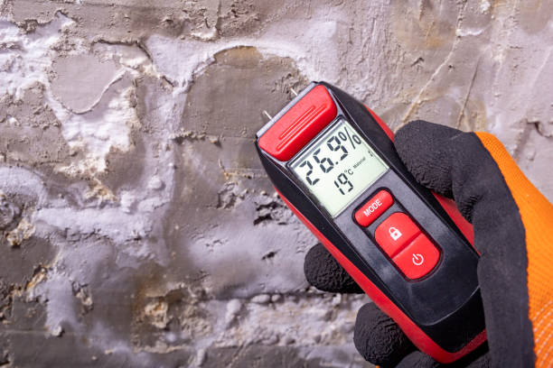 Best Mold Removal Near Me  in Maryvle, IL