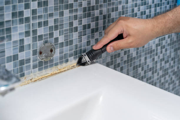 Best Mold Cleaning Services  in Maryvle, IL